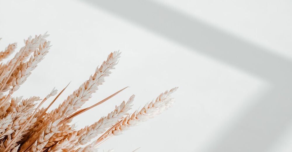 What Are The Types Of Retinoid And Where To Start?