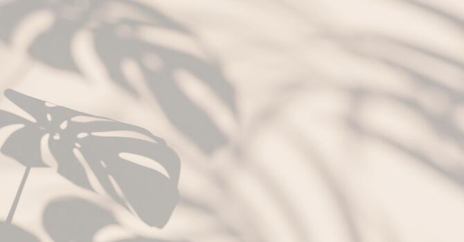 Functional & Mental Wellness