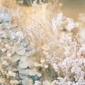 Janet Truong