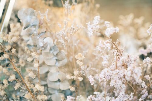 Janet Truong