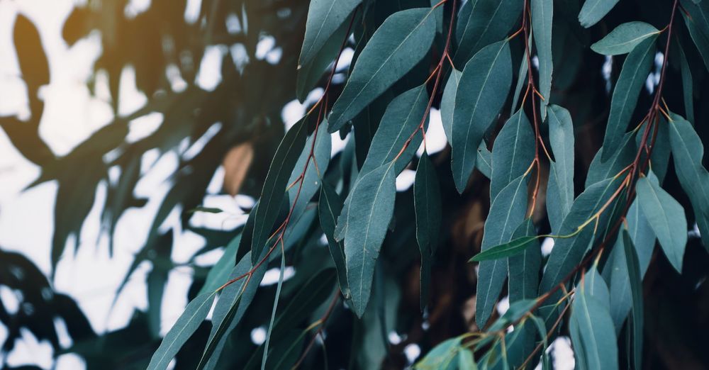 What Are The Types Of Retinoid And Where To Start?