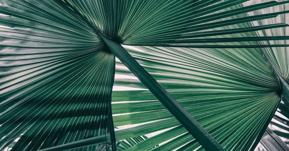 What Are The Types Of Retinoid And Where To Start?