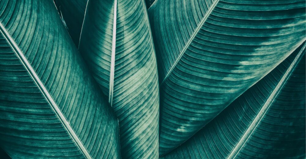 What Are The Types Of Retinoid And Where To Start?